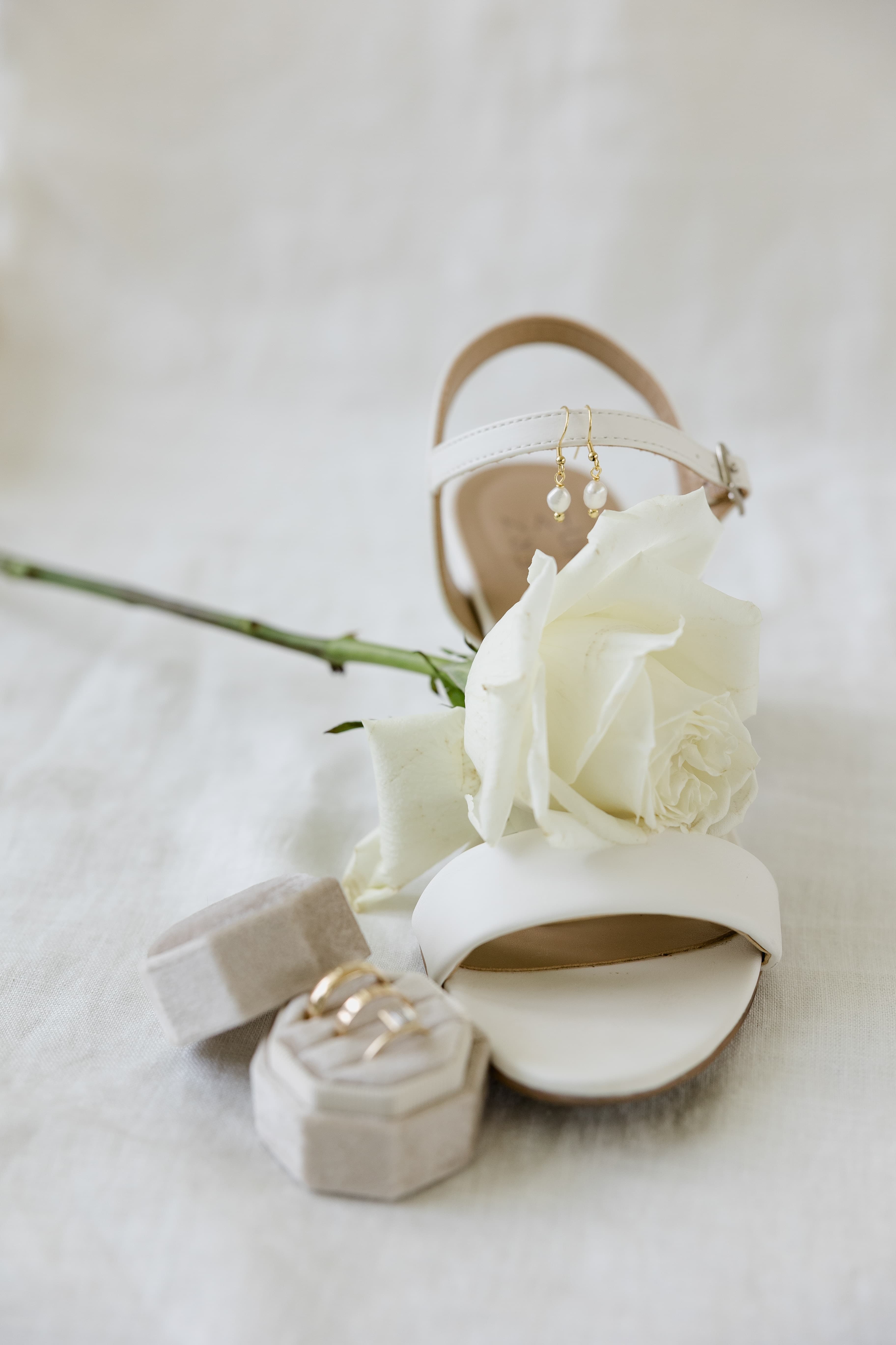 Featured image 24